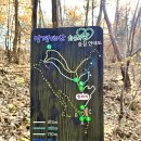 망경대산자연휴양림 이미지