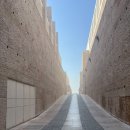 강동우정신건강의학과의원 | 제54회 IPA Congress 참석 [성남 분당 정자동 강동우 정신건강의학과의원]