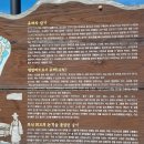 2026년8월 포항 마이크로기행(역사탐방 : 장기유배문화체험촌~장기읍성) 이미지