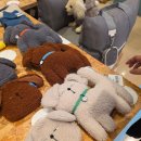 펫바비 | 고양 스타필드 바비레드 l 애견동반 가능 펫프렌들리 식당 메뉴추천 솔직후기