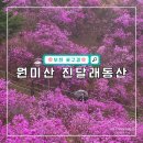 종합운동장역 2번출구 | 경기도 꽃구경 부천 가볼만한곳 원미산 진달래동산 실시간 현황