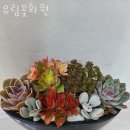 유림꽃화원 이미지