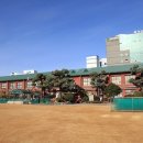 광주수창초등학교 이미지