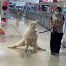 운학감자탕 | 솔트=ㅅㅌ=설탕