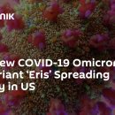 CDC: 새로운 COVID-19 Omicron 변종 &#39;Eris&#39; 미국에서 빠르게 확산 이미지