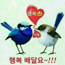 기분좋은날 Daum카페