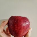 선미민박 이미지