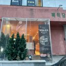뽁식당 : 애견동반 구월동 파스타 맛집 솔직후기