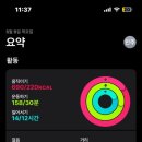 용운국제수영장 이미지