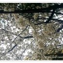 뽀독뽀독 이미지