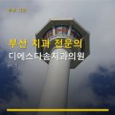다솜치과의원 네이버블로그