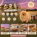 마리독 | 강아지와 하루 종일 편하게 놀기 좋은 곳, 스포독 방문 후기 🐶
