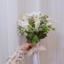 신내동-023 이미지