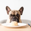 베이지동물병원 이미지