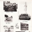 양양여중 이미지