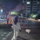 할렘가뽑기 네이버블로그