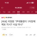 국정원이 한동훈 체포지시 받은적 없다는데 이미지