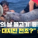 캘리포니아에 &#39;종말의 날 물고기&#39;출현,진짜 대지진 전조? 이미지