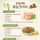 묵방지 | 도토리묵 효능, 다이어트부터 장 건강까지 제대로 알고 먹기