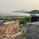 흥동농장 네이버블로그