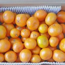 귀덕농장 이미지