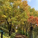 양재천근린공원 이미지