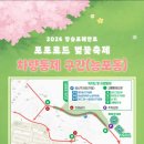 장승포동 주민센터 | 2026 거제 장승포 해안로 포포 블라썸 로드 🌸