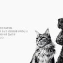 로얄독 이미지