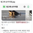 인형뽑기좋은날 | 26-7. 난 더 아름다운 사람이 되어 널 지켜줄 거야