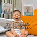 에코쿨잠 | 여름기저귀 추천 모모래빗 에코씽씽 에코드라이썸머 (여름낮밤기저귀)