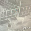 제주섬마리 이미지