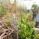 토종슈퍼 이미지