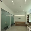 강서하이동물병원 | 청주 가경동 강서하이동물병원에 다녀왔어요