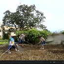 준원농장 이미지