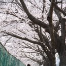 서남체육공원 이미지