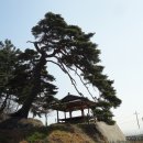 소성면사무소 이미지