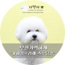 모모애견샵 이미지