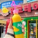 엔제리너스천지연폭포점 | 천지연폭포 카페 생망고를 갈아주는 망고레이