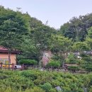 데미옆골 네이버블로그