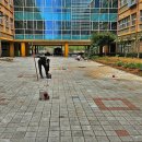 보람동_여울초등학교 이미지