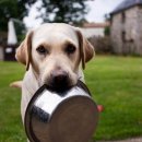 오즈동물병원 이미지