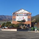 청정미나리영농조합 이미지