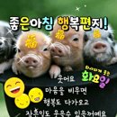 웃으면복돼지 이미지