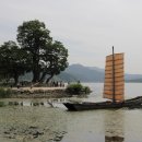 황포돗대 이미지