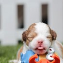 인제한의원 이미지