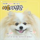 선화로 | [익산] 증멍사진 맛집 "이음사진관" 금액정보 주차장 솔직후기