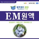 [공구] 블루베리클럽 전용 EM원액, 당밀 공동구매 이미지