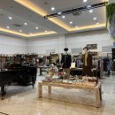 베일리하우스애견펜션 | 복층·온수풀·오션뷰 다 있는 여수 뮤지컬하우스 후기 (애견동반 가능 펜션)