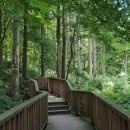 영수목장 이미지