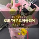 아뜰리에 로와